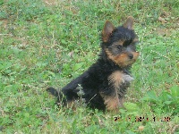 JINA